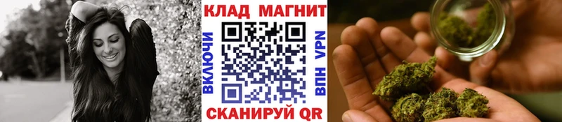 Где продают наркотики Киренск ГАШИШ  СК  KRAKEN как зайти  Канабис  МЕФ 