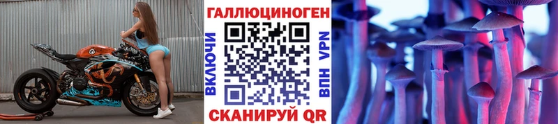 ссылка на мегу рабочий сайт  наркотики  Киренск  Псилоцибиновые грибы Magic Shrooms 