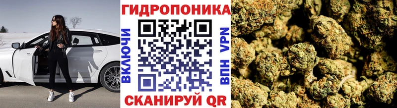 даркнет сайт  Киренск  Бошки Шишки семена 